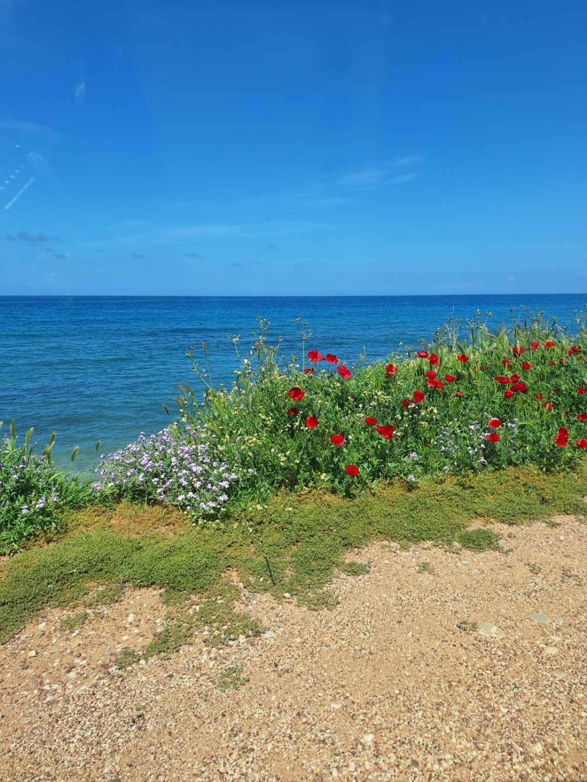 Ariadne Studio Kyparissia Bagian luar foto